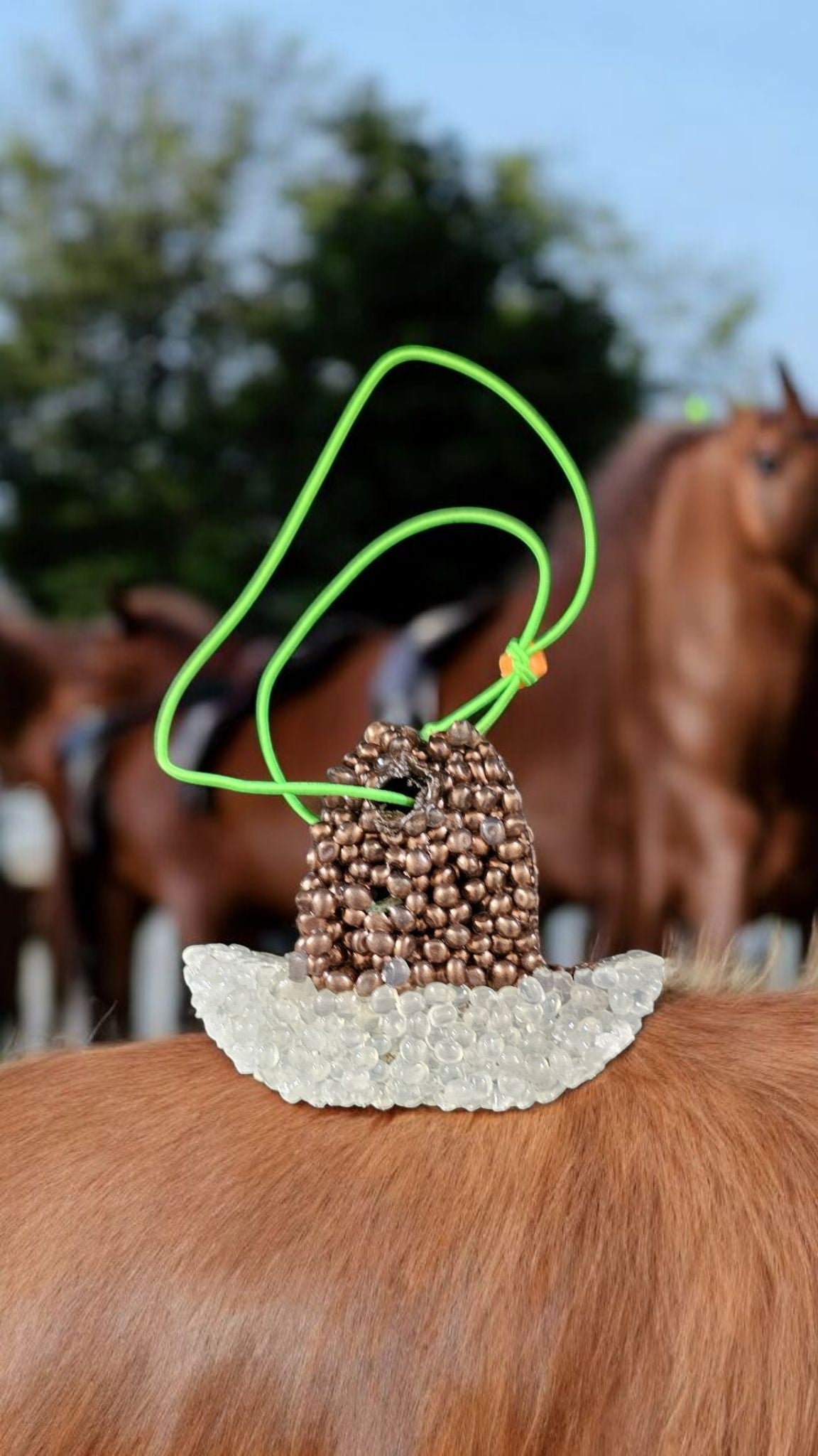 Gentlmans Cowboy Hat ( Caribbean teak ) Brown and White Brim