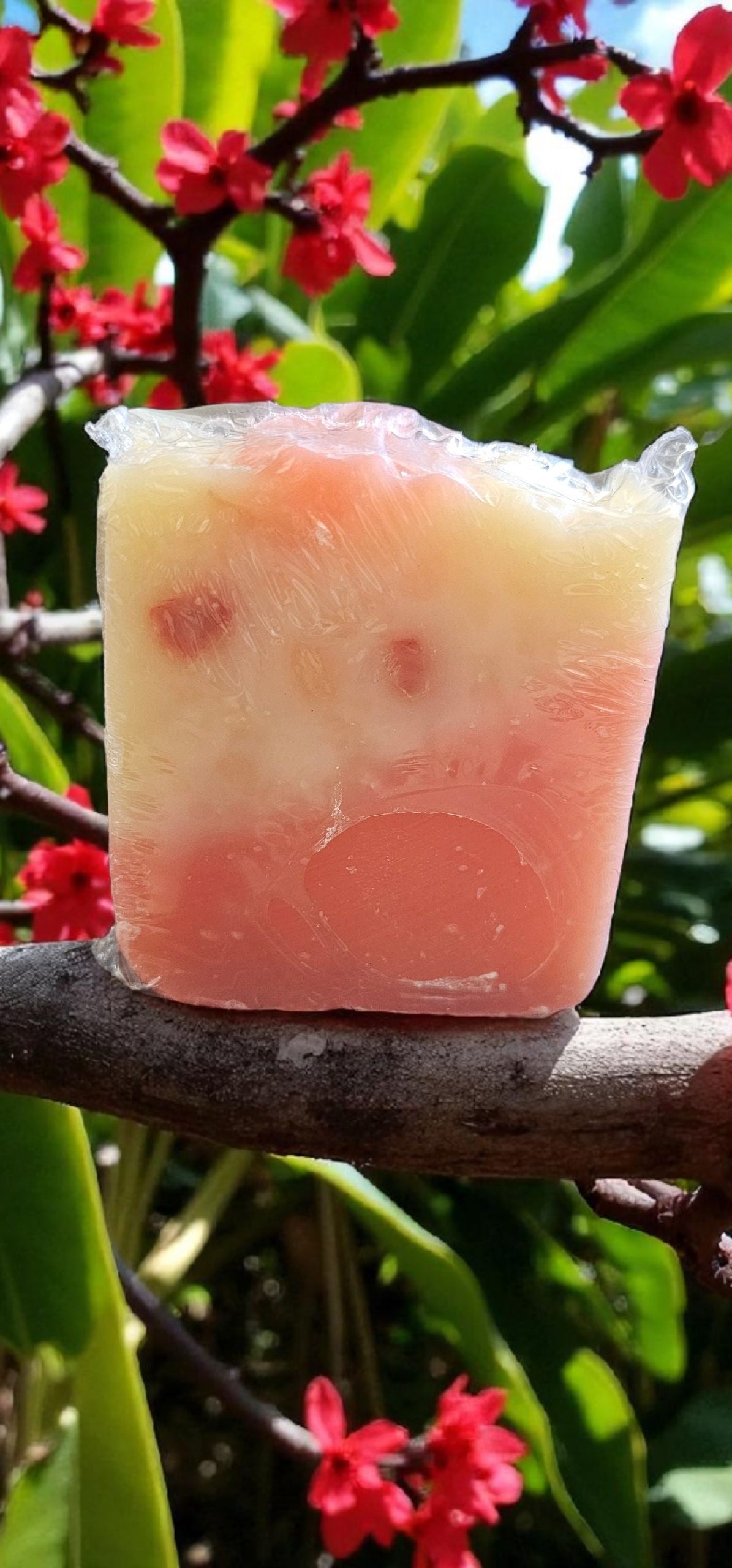 Red Plumeria (Cold process Tall bar)