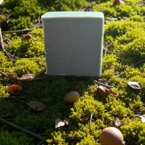 A photo of our hand size bar of Tallow Moss