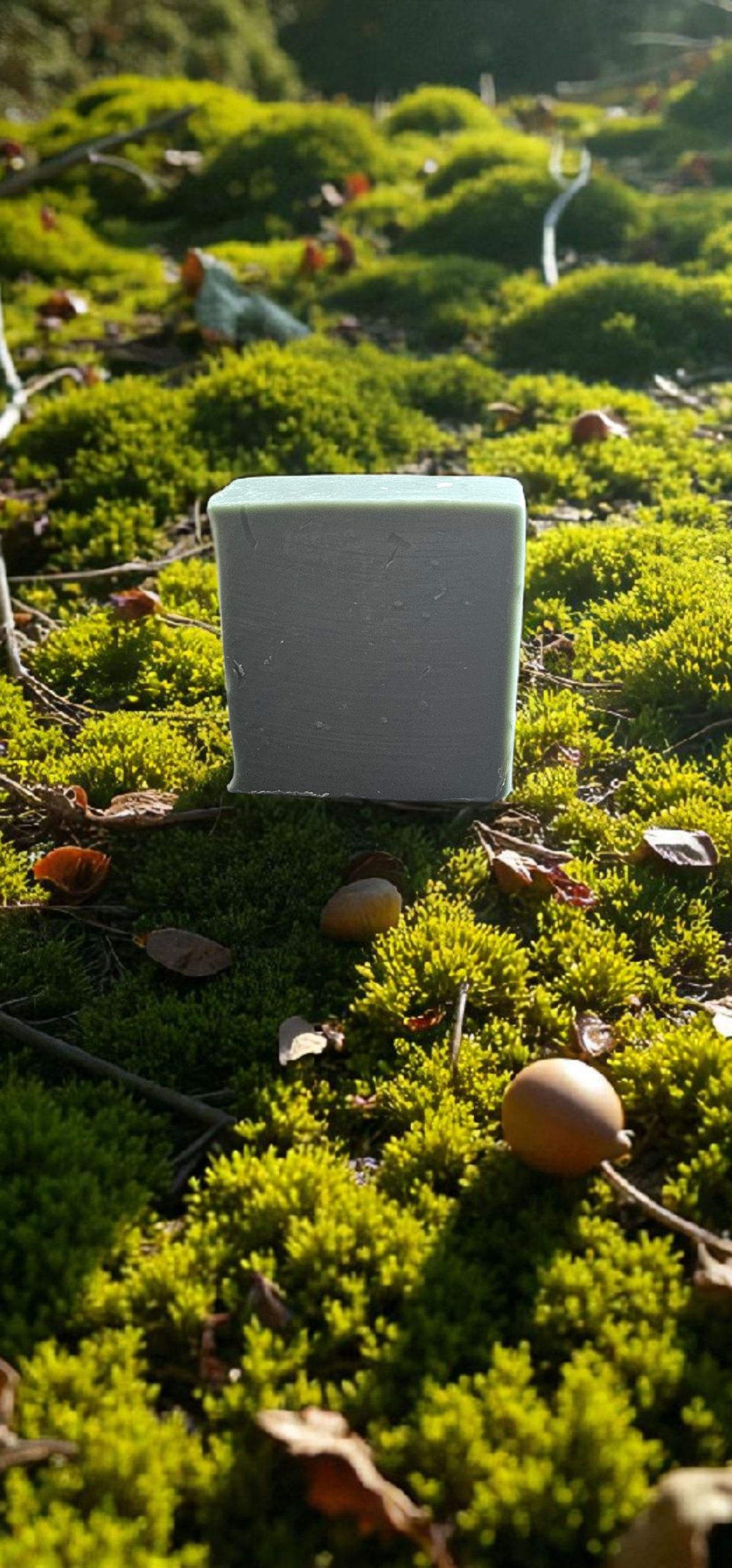 A photo of our hand size bar of Tallow Moss